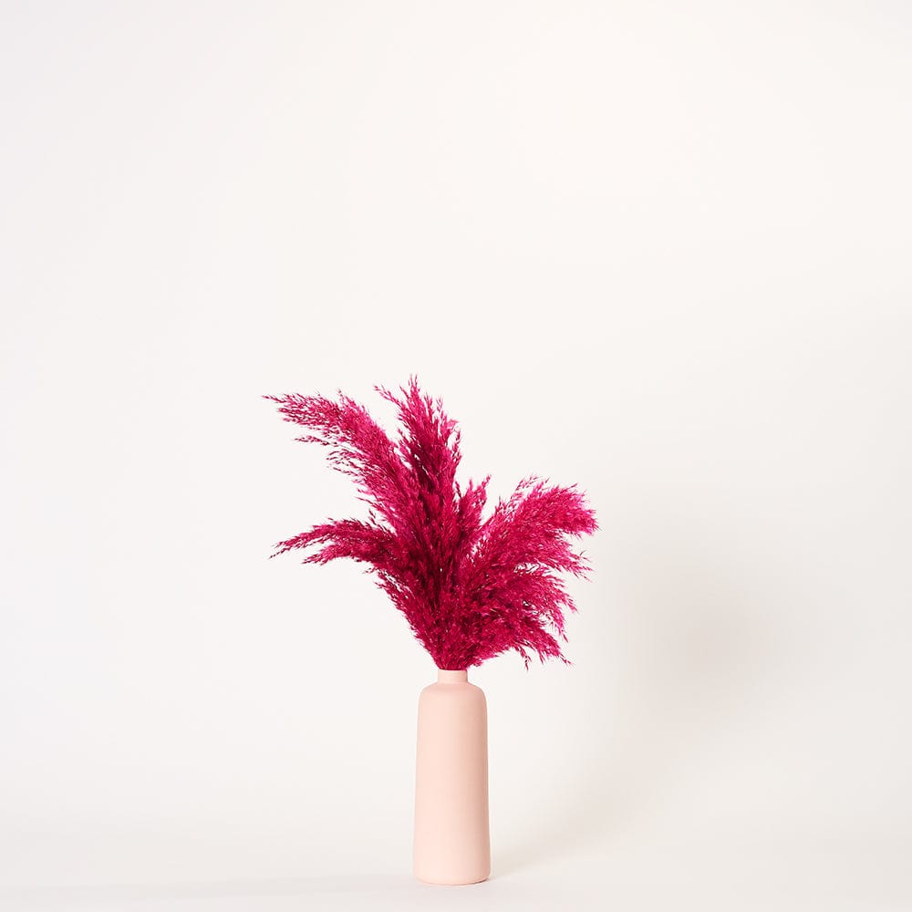 Cerise Pampas - Medium | Pink Porcelain Vase | Forever Florals by East Olivia | Dried Flower Arrangements