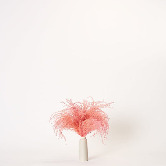 Pink Pampas - Small | Ivory Porcelain Vase | Forever Florals by East Olivia | Dried Flower Arrangements