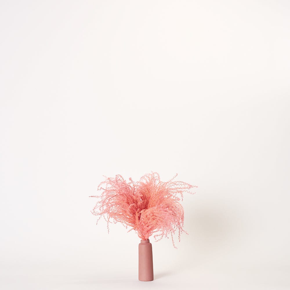 Pink Pampas - Small | Aubergine Porcelain Vase | Forever Florals by East Olivia | Dried Flower Arrangements