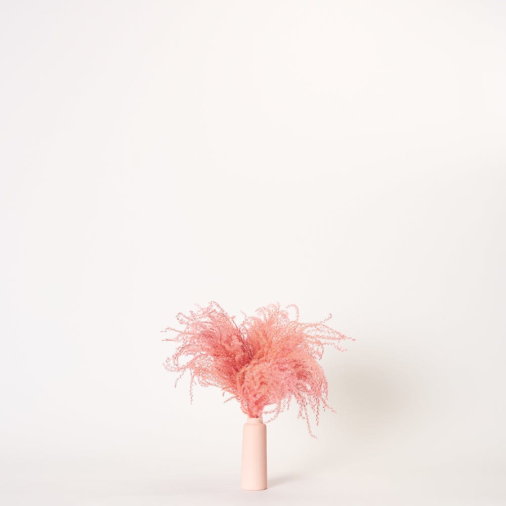 Pink Pampas - Small | Pink Porcelain Vase | Forever Florals by East Olivia | Dried Flower Arrangements