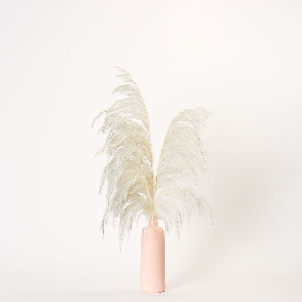 White Pampas - Medium | Pink Porcelain Vase | Forever Florals by East Olivia | Dried Flower Arrangements