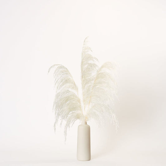 White Pampas - Medium | Ivory Porcelain Vase | Forever Florals by East Olivia | Dried Flower Arrangements