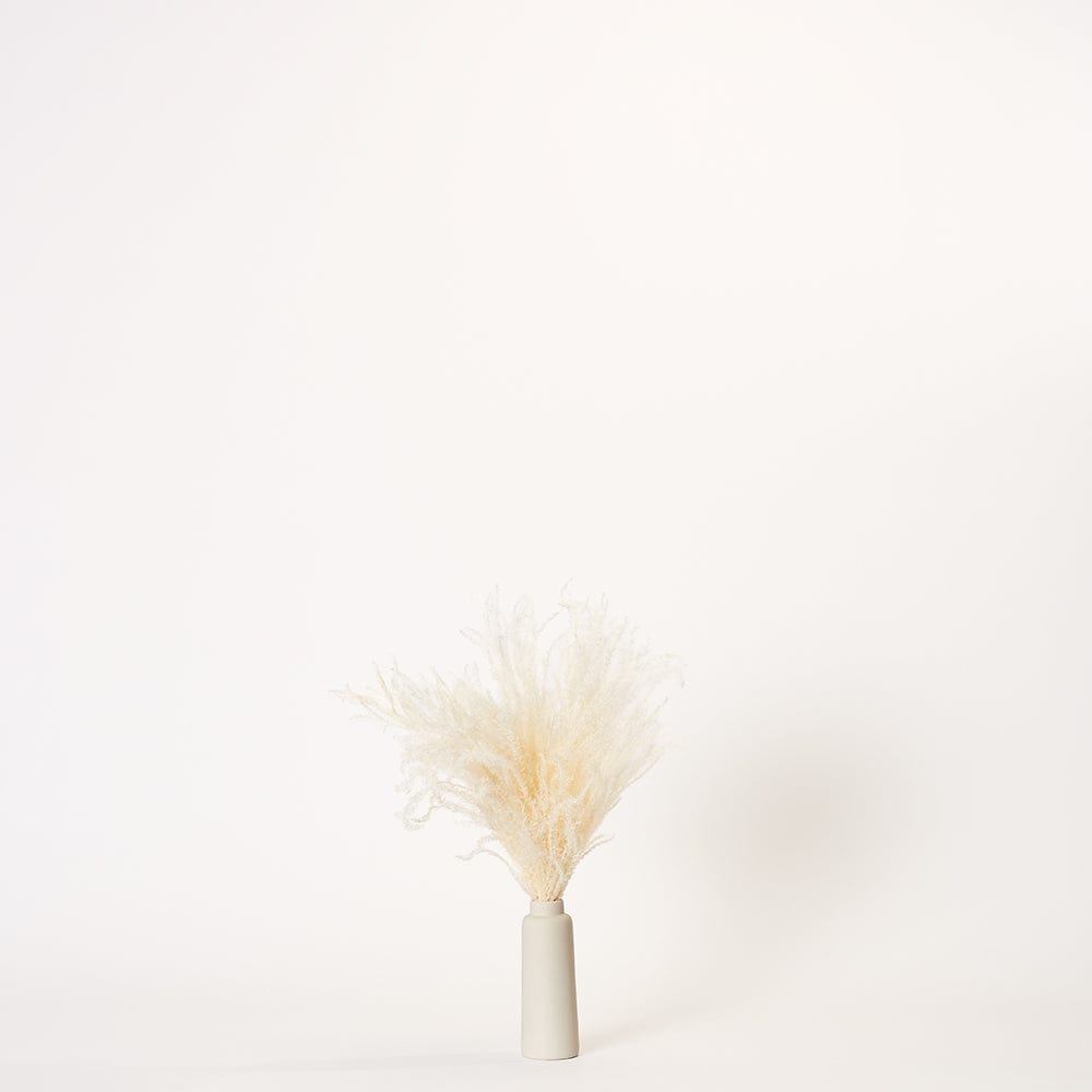 White Pampas - Small | Ivory Porcelain Vase | Forever Florals by East Olivia | Dried Flower Arrangements