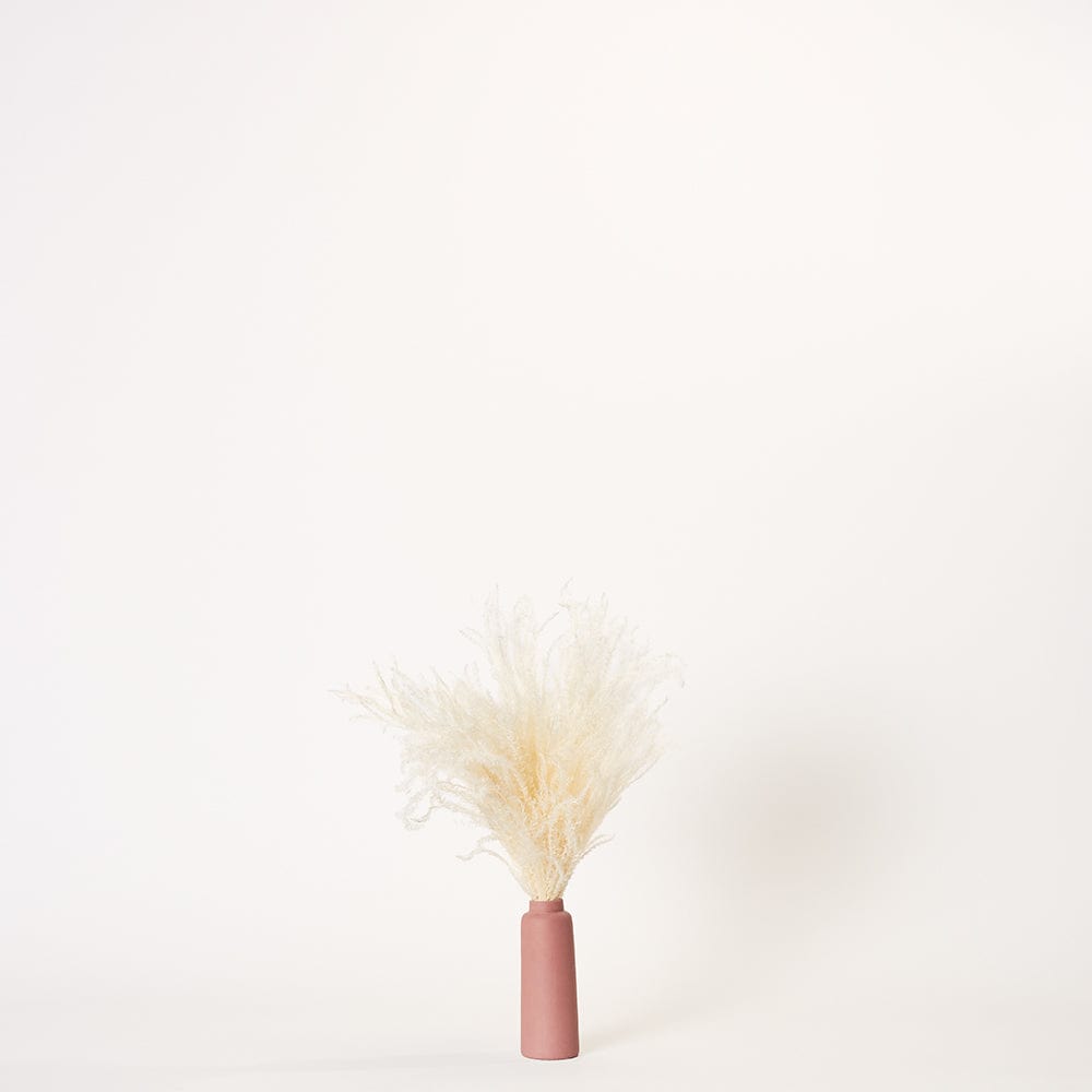 White Pampas - Small | Aubergine Porcelain Vase | Forever Florals by East Olivia | Dried Flower Arrangements