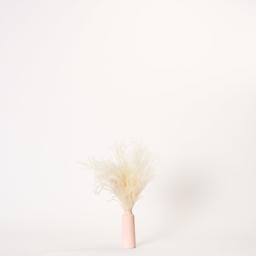 White Pampas - Small | Pink Porcelain Vase | Forever Florals by East Olivia | Dried Flower Arrangements