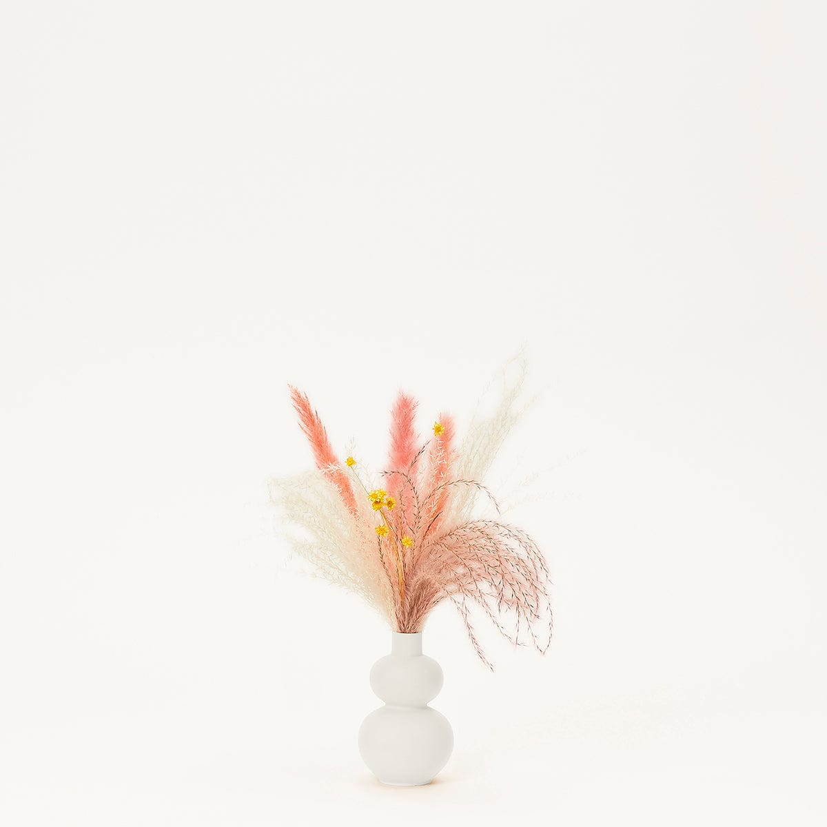 The Lana - Bud | Forever Florals by East Olivia | Dried Flower Arrangements