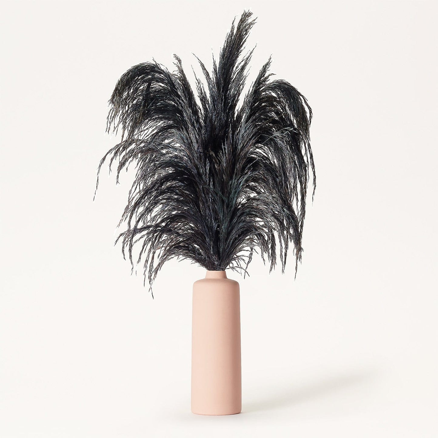 Black Pampas - Large | Pink Porcelain Vase