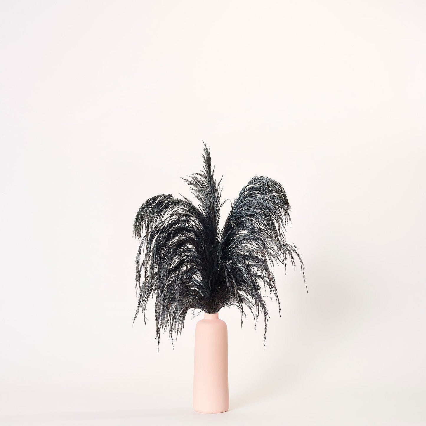 Black Pampas - Medium | Pink Porcelain Vase