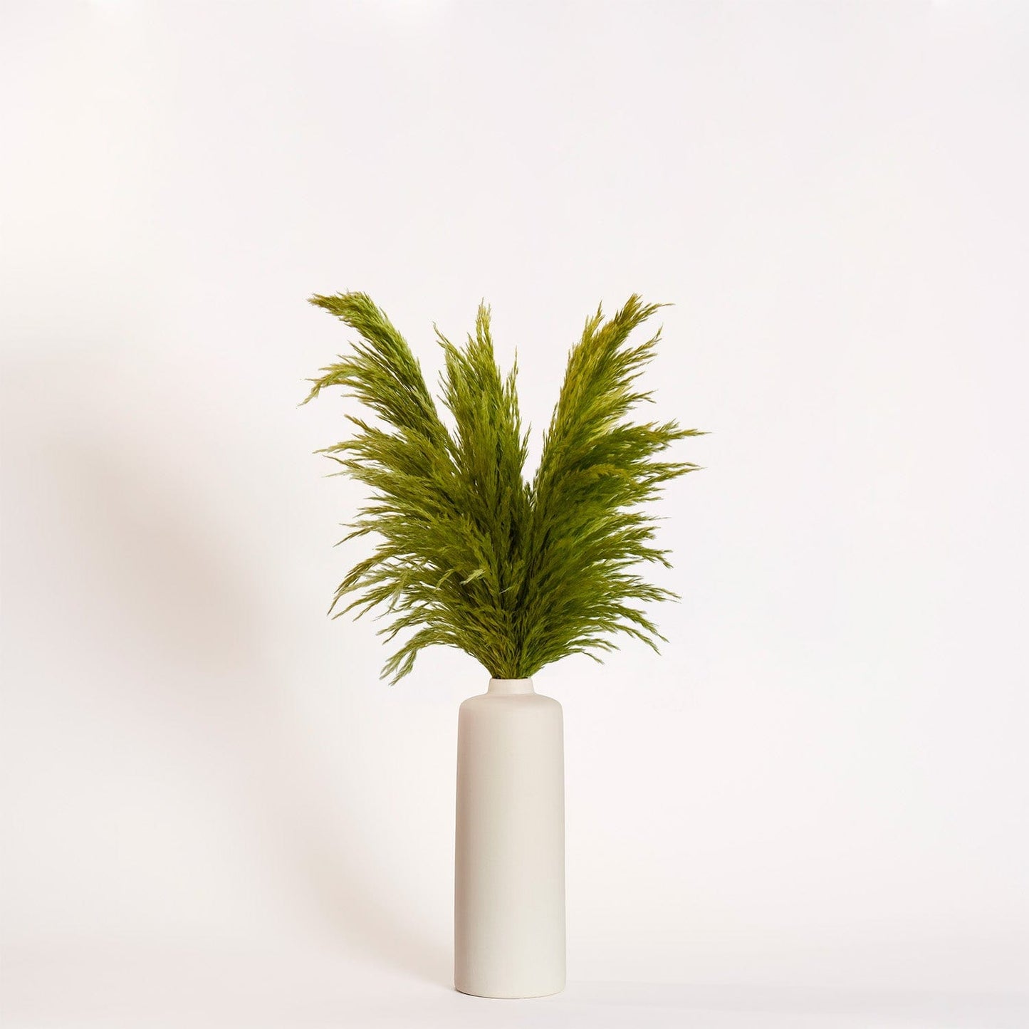 Green Pampas - Large | Ivory Porcelain Vase
